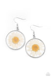 Forever Florals - White - Paparazzi Accessories -  Item #P5WH-WTXX-216XX Bordered in a silver fitting, a pressed daisy is encased inside a glassy frame for an enchanted floral look. Earring attaches to a standard fishhook fitting.  Sold as one pair of earrings.