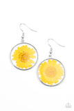 Forever Florals - Yellow - Paparazzi Accessories -   Item #P5WH-YWXX-165XX Bordered in a silver fitting, a pressed yellow daisy is encased inside a glassy frame for an enchanted floral look. Earring attaches to a standard fishhook fitting.  Sold as one pair of earrings.