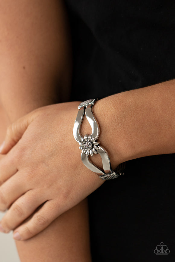 Let A Hundred SUNFLOWERS Bloom - Silver - Paparazzi Accessories -  Item #P9WH-SVXX-217XX Antiqued silver ribbons loop out from a decorative silver sunflower that attaches to a ribbed silver frame, creating a cuff-like bangle around the wrist. Features a hinged closure.  Sold as one individual bracelet.